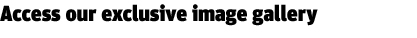 Access our exclusive image gallery