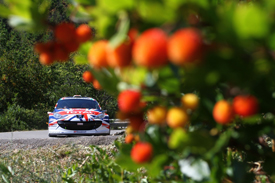 Kris Meeke, Peugeot, Sanremo 2010