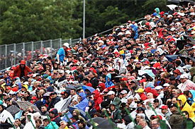 F1 fans