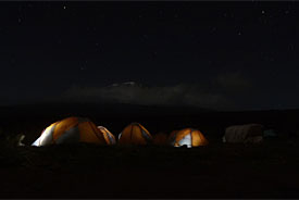 The night