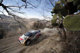 Chris Atkinson, Abu Dhabi Citroen, Mexico 2013