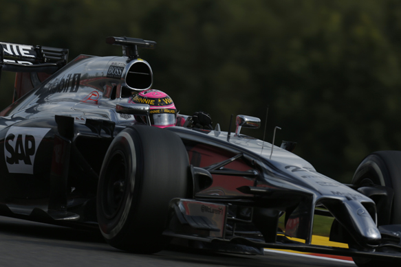 Jenson Button, McLaren, Belgian GP 2014, Spa