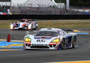 Gabriele Gardel, Larbre Saleen