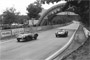 Jaguar's D-Type (#4) wins the Le Mans 24 Hours for the second time